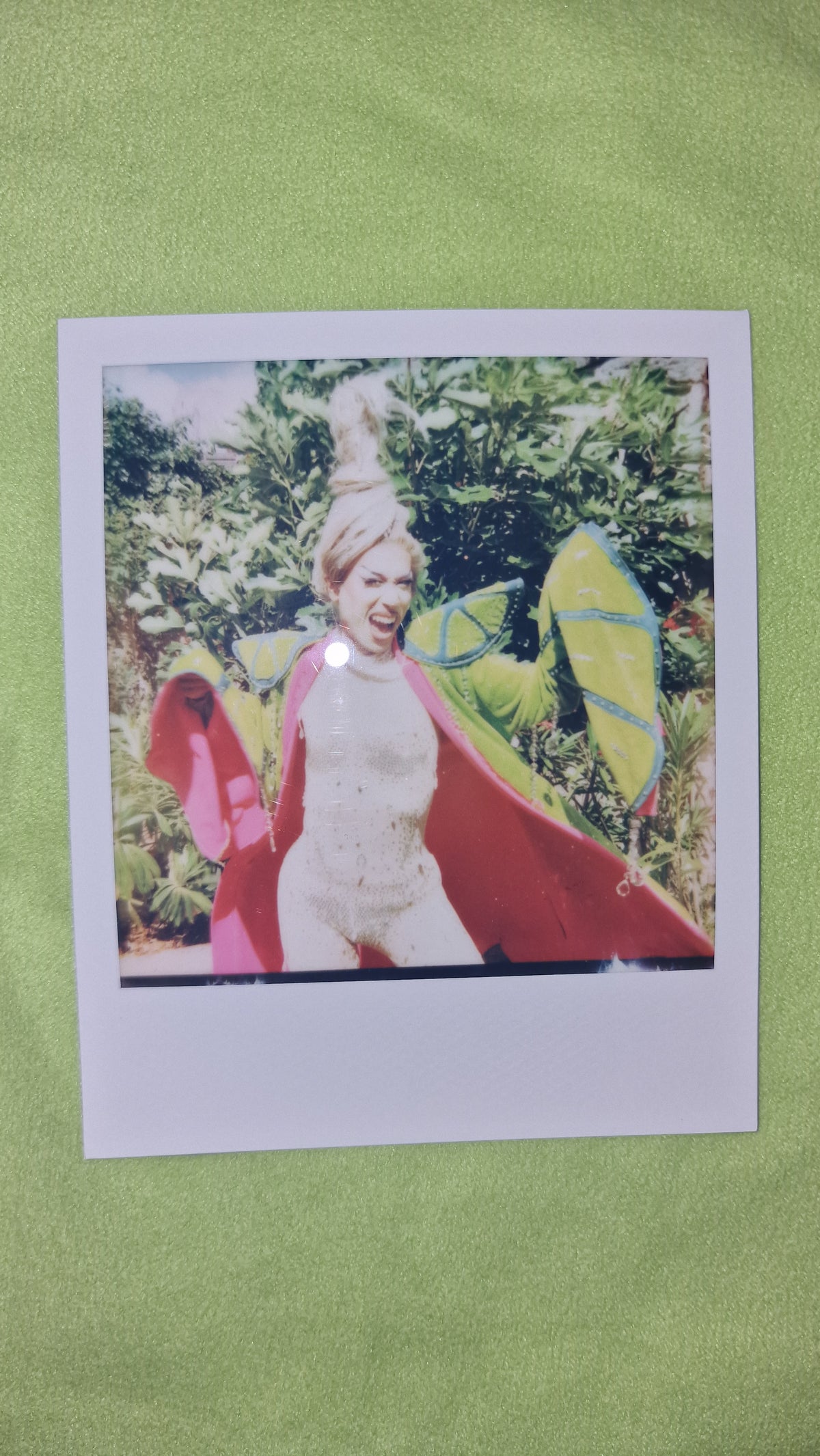 Tequila Thirst Signed Polaroid Collection - Week 1 (Entrance, Talent & Runway)