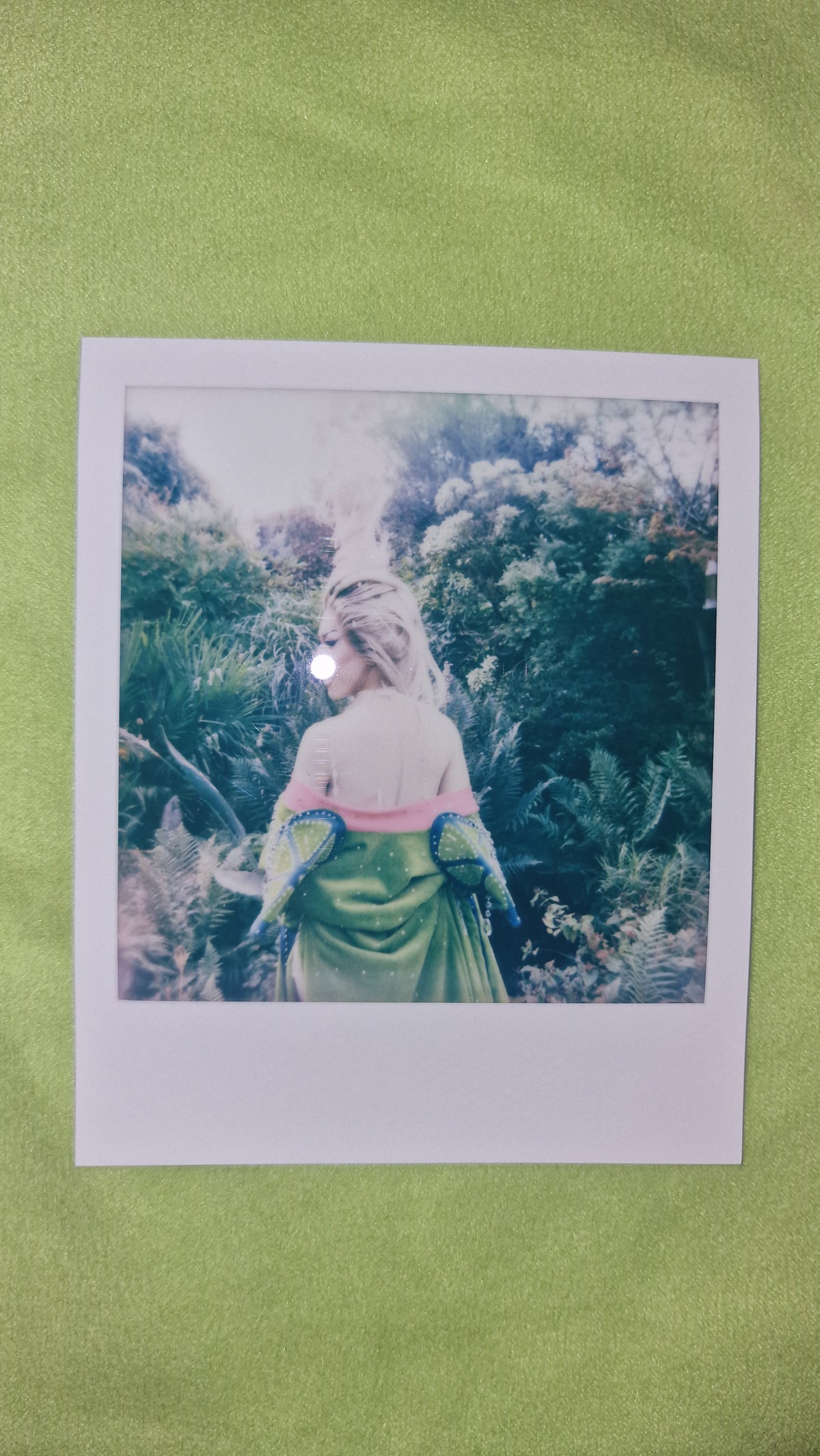 Tequila Thirst Signed Polaroid Collection - Week 1 (Entrance, Talent & Runway)
