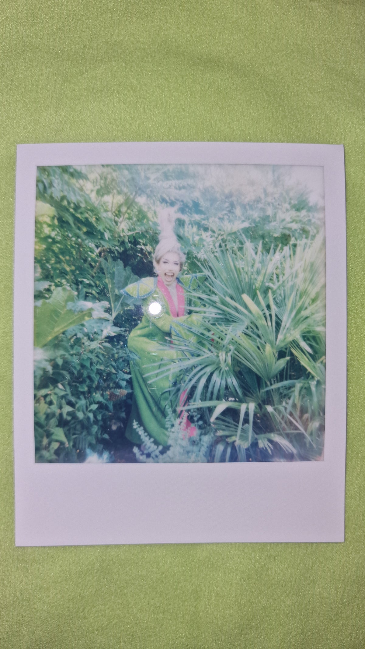 Tequila Thirst Signed Polaroid Collection - Week 1 (Entrance, Talent & Runway)