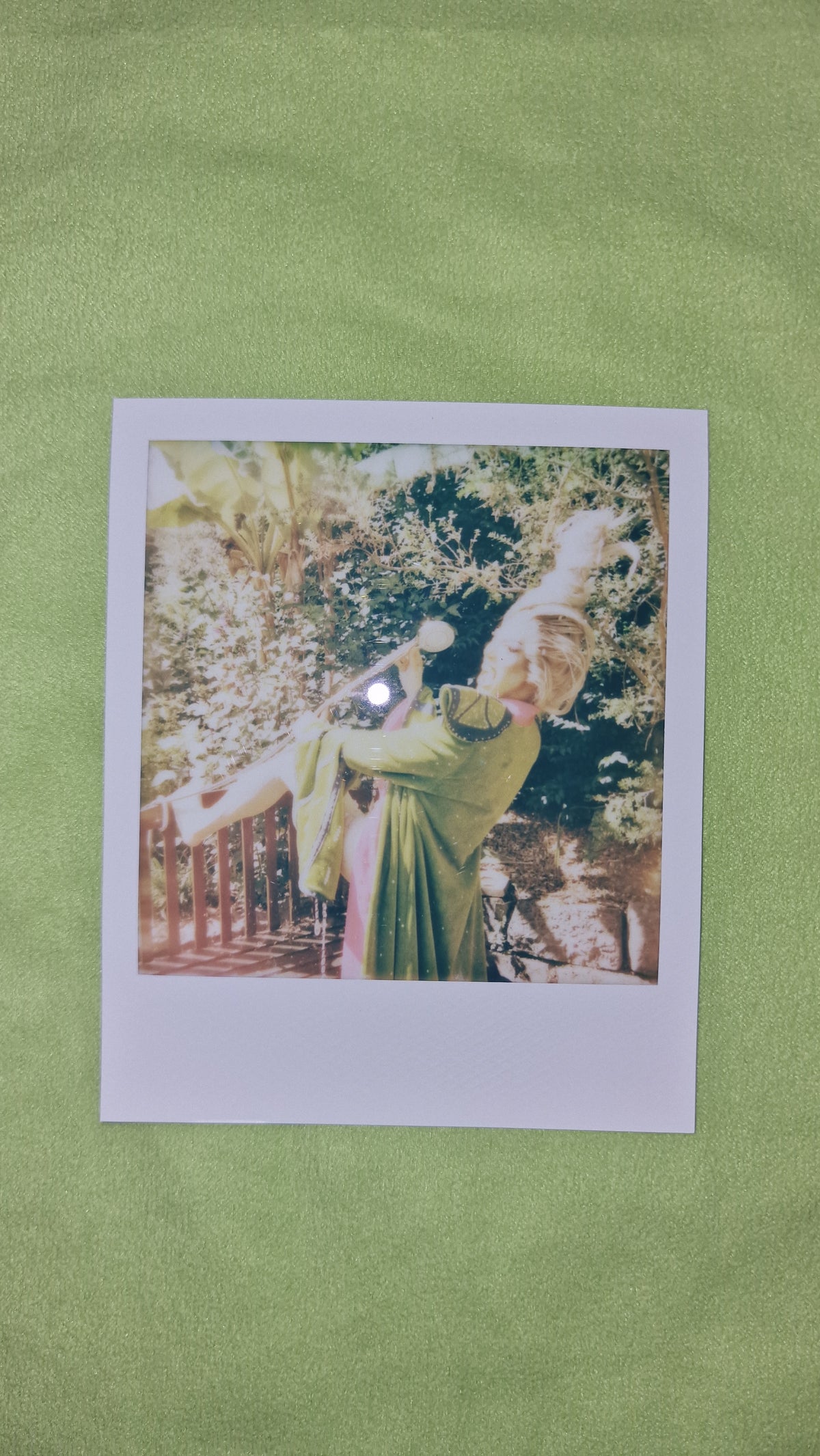 Tequila Thirst Signed Polaroid Collection - Week 1 (Entrance, Talent & Runway)